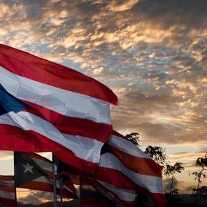 Meet your Posher, Wanda claudio